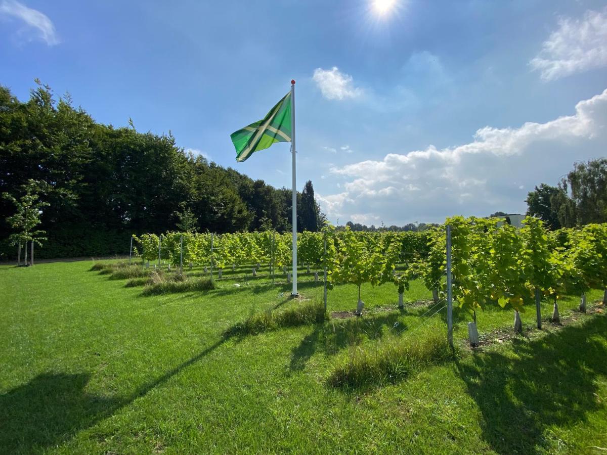 Achterhoeks Goed, Bed & Breakfast In Vragender Екстериор снимка
