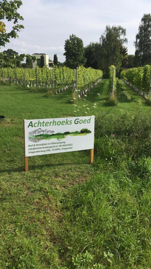 Achterhoeks Goed, Bed & Breakfast In Vragender Екстериор снимка